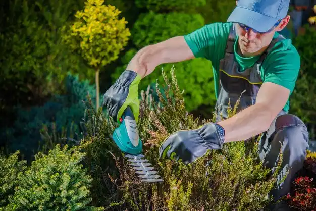 landscaping services Clarktown
